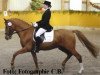 stallion Fs Disagio (German Riding Pony, 2000, from FS Don't Worry)