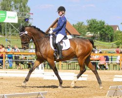 dressage horse Bonny's Boy xx (Thoroughbred, 2000, from Gleny Boy xx)