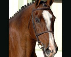 broodmare Fiosa (Holsteiner, 1991, from Caretino)