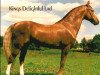 Deckhengst Kings Delightful Lad (Tennessee-Walking-Horse, 1967, von Perfections Gay King)