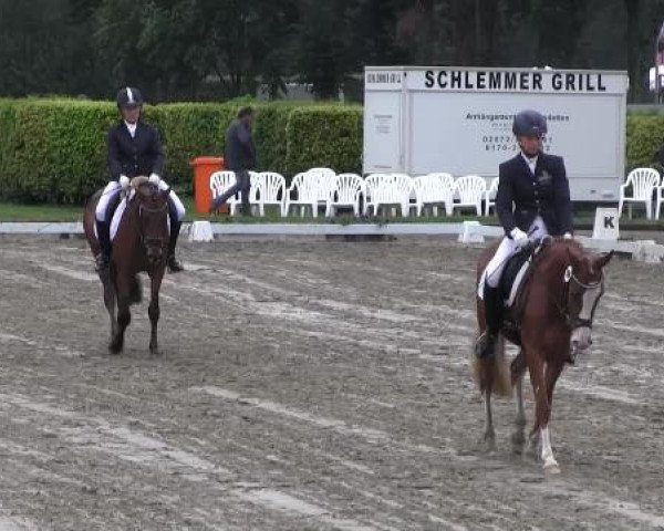Video of Danbar 2, Daddy's Chanel