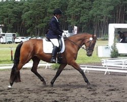 broodmare Desert Pretty (German Sport Horse, 2009, from Danone 4)