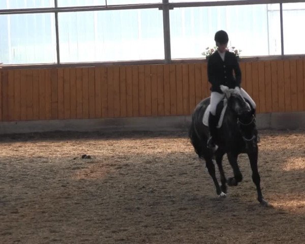 Großes Reit- und Springturnier Herbern 2014