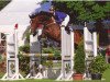 jumper Grantorino (Hanoverian, 2005, from Graf Top)