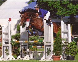 jumper Grantorino (Hanoverian, 2005, from Graf Top)