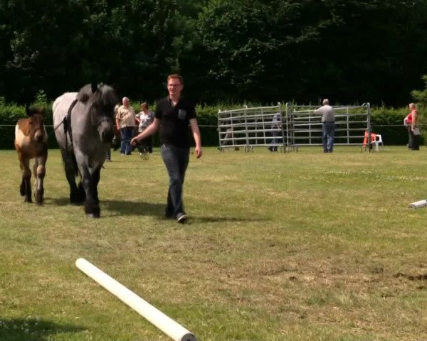 Video of Maarten van de Lafer