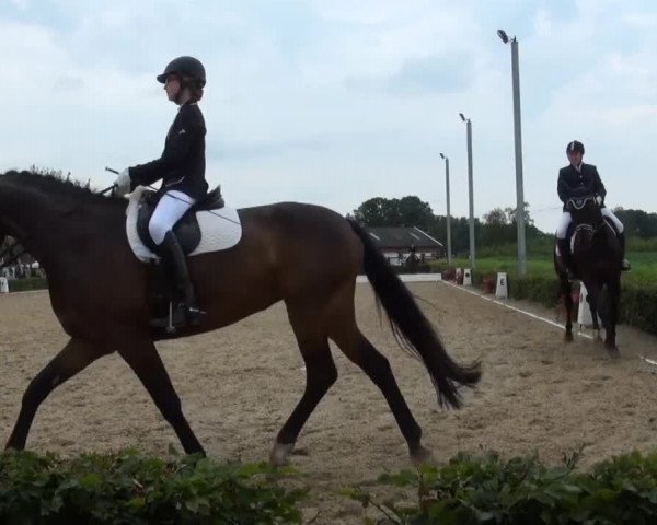 Video of Fritze Fröhlich, Fleur de Coeur 4, Florence Joy 4
