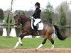 broodmare Newlands Una Luna (German Riding Pony, 2009, from FS Chambertin)