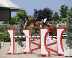 Pferd Beauty van Spieveld (Belgisches Warmblut, 2001, von Mr Blue)