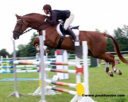 horse Comtesse de Fossey (Belgian Warmblood, 1995, from Coriall 2)