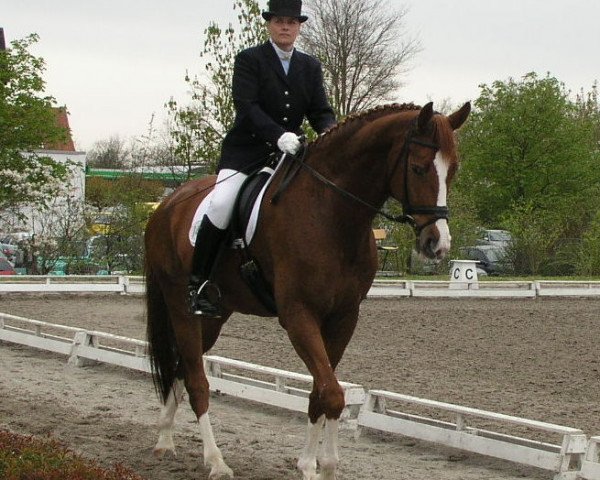 dressage horse Rubin Hood (Bavarian, 1998, from Rubinstar)