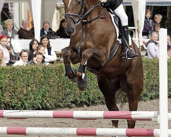 horse Eliano R (Westphalian, 2002, from Ehrenwort)