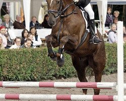 horse Eliano R (Westphalian, 2002, from Ehrenwort)