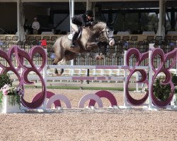 jumper Chabadue (Mecklenburg, 2004, from Chacco-Blue)