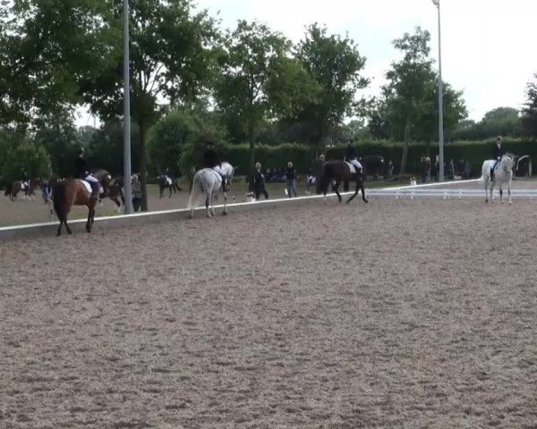Video of Campino, Castella 50, Celina 83