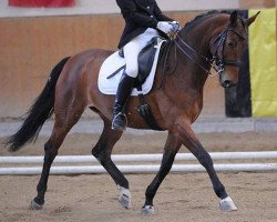 horse Loona 50 (Hessian Warmblood, 2001, from Logarithmus)