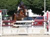 dressage horse Lavana 3 (Oldenburg show jumper, 2007, from Ludwigs As)