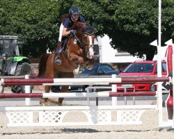 dressage horse Lavana 3 (Oldenburg show jumper, 2007, from Ludwigs As)