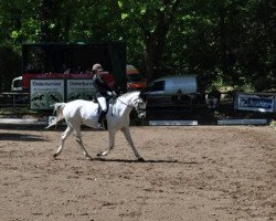 broodmare Lancôme 16 (Oldenburg, 2003, from Inselfürst)