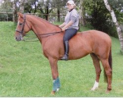 broodmare Fruehlingsfee (Hanoverian, 1993, from Falkland)