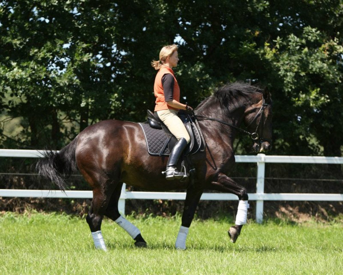 horse Ria Walena (unknown, 1991)
