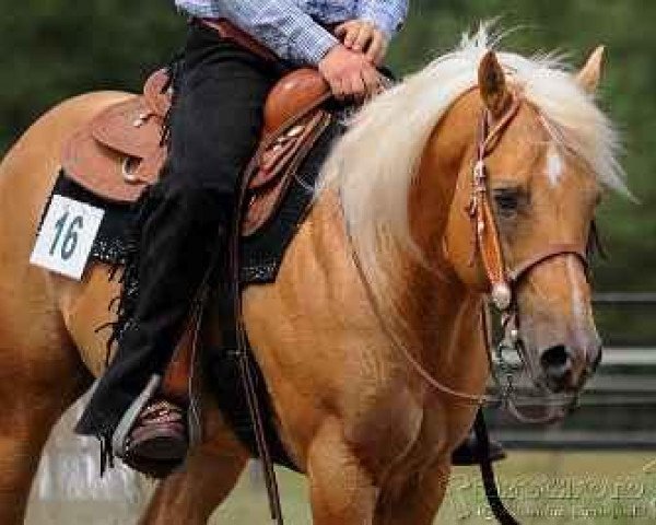 Deckhengst Carlos Grand Peppy (Quarter Horse, 2004, von Star G Grand Peppy)