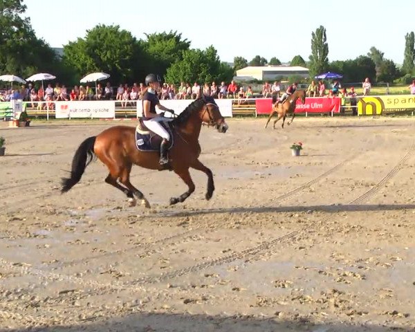Video of La Bonita Beaute