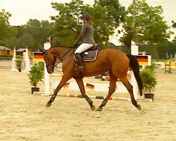 jumper Antigone (Hanoverian, 2007, from As di Villagana)