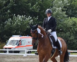 dressage horse Zuckerpuppe 38 (Holsteiner, 2007, from Cristo)