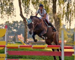 jumper Miss Skyfire (Oldenburg, 2004)