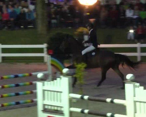 Video of Contello 6