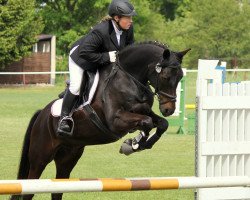 dressage horse Nightson (German Riding Pony, 1999, from Nightfire)