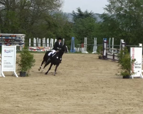 Video of peerless