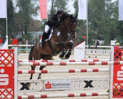 Springpferd Zip My World P (Schwedisches Warmblut, 2004, von Goodtimes)