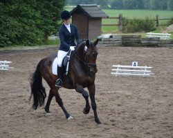 jumper Linus (Hanoverian, 1999, from Lacantus)