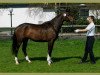 broodmare Herzluna (Trakehner, 2003, from Axis TSF)