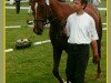 broodmare Contenance (Trakehner, 1988, from Sokrates)