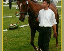 broodmare Contenance (Trakehner, 1988, from Sokrates)