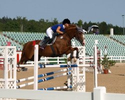 broodmare Little Looping (Hanoverian, 2003, from Le Primeur)