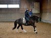 dressage horse Quentina 4 (Württemberger, 2002, from Qantas de L)