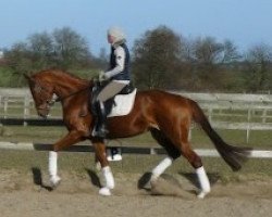 broodmare Esmeralda (Hanoverian, 2008, from Escudo I)