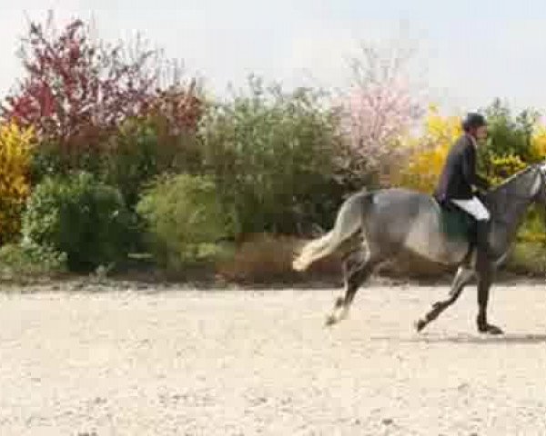 Video of Coco Jump