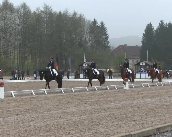 Video von Sir Shosta's Fi, William 309, Sweetwater
