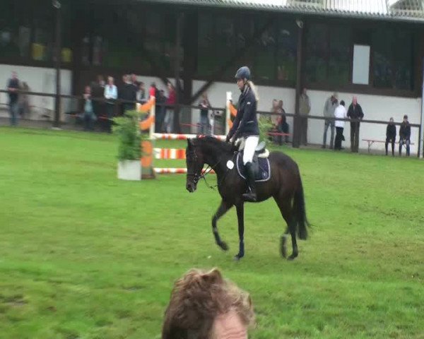 Video of Pik"r 7