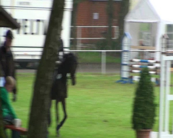 Video of Pik"r 7