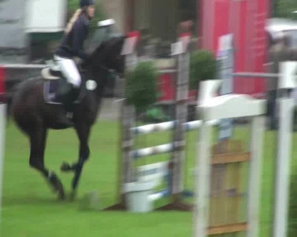 Video of Pik"r 7