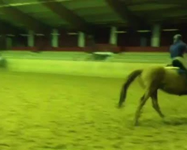 Video of Easy Master V