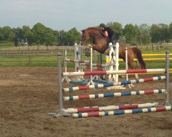 jumper Equito 3 (Hanoverian, 1999, from Espri)