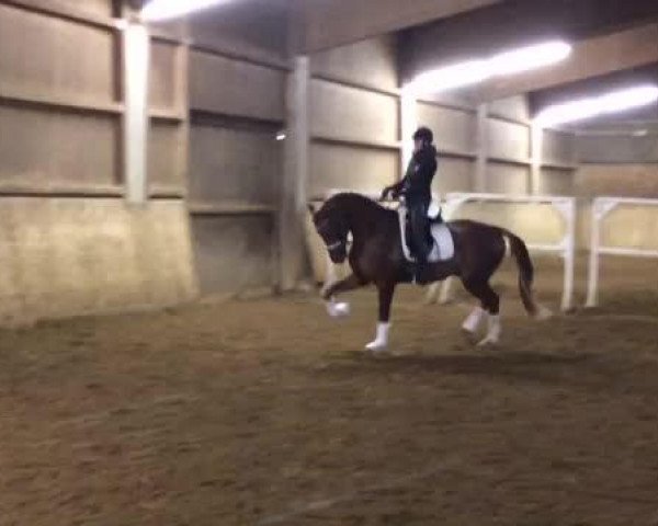 Video of Jackpot Hs