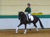 dressage horse Unikat 24 (Trakehner, 2009, from Okavango)